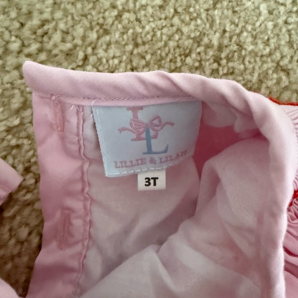 Lillie & Lilah Heidi Heart Pink Smocked Kids Dress 3T - Picture 2 of 3